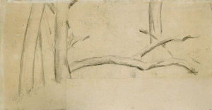 Étude d'arbres, 1871-74, 12,7 x 25 cm Non catalogué