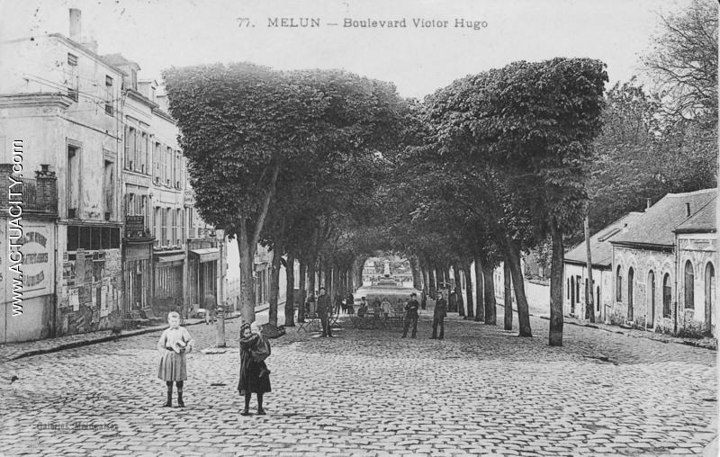 Fig. 39. Arbres décapités du Boulevard Victor Hugo