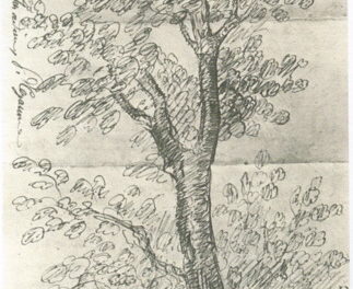 La féconde amitié entre Cézanne et Zola