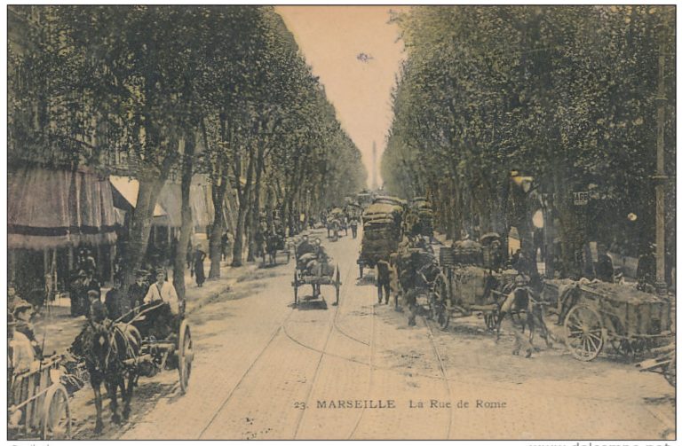 Chapitre III – 18781886  Guerre et paix  Société Cezanne