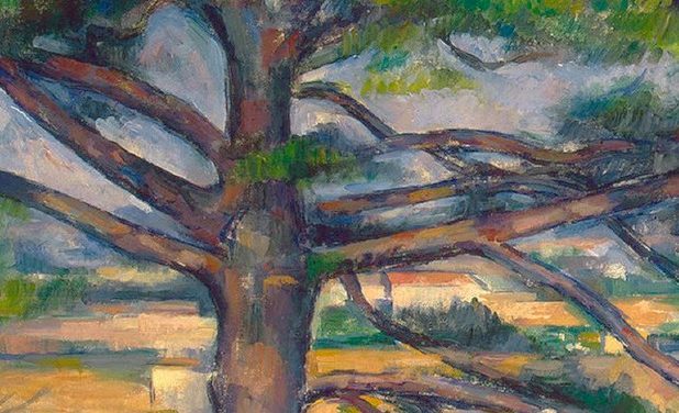 Entre nature et peinture : arbres de Cézanne