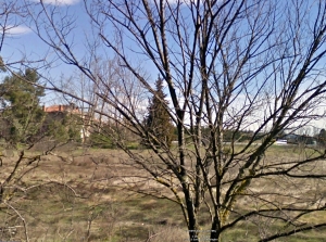 fig11