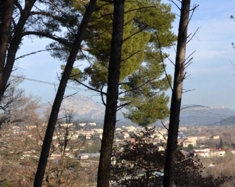 Le Viaduc dans la plaine de l’Arc IV (FWN265-R695, FWN294-R758, FWN257-R613, FWN302-R814, RW233)